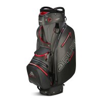 Big Max Aqua Sport 4 charcoal-black-red
