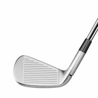 Taylor Made P790 Titan Eisen