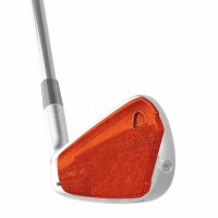 Taylor Made P790 Titan Eisen