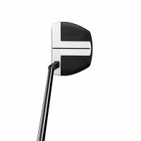 TaylorMade Spider FCG Small Slant