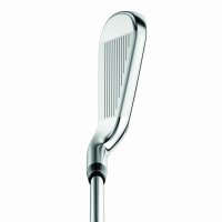 Callaway Big Bertha B21 Eisen