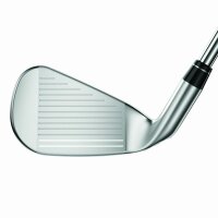 Callaway Big Bertha B21 Eisen