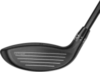 Cobra DS-ADAPT MAX Fairway