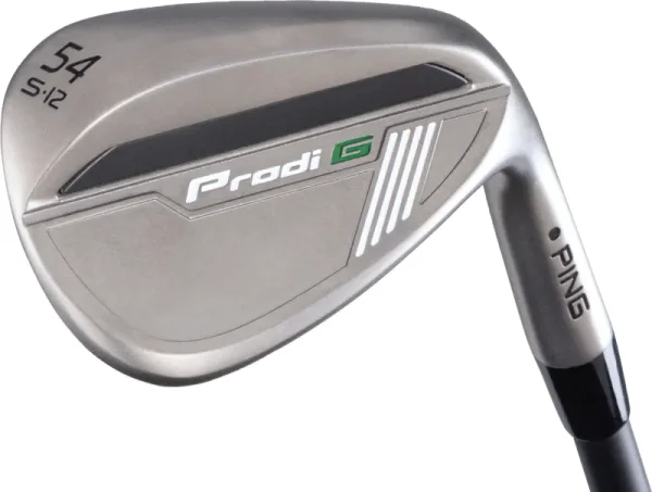 Ping Prodi G Wedge