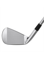 Mizuno Pro 245 Eisen Herren Rechtshand 4-9, PW True Temper Dynamic Gold Mid 100  Regular