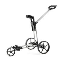 Flat Cat Go Plus 3.0 Silver Li-Fe 36 Loch
